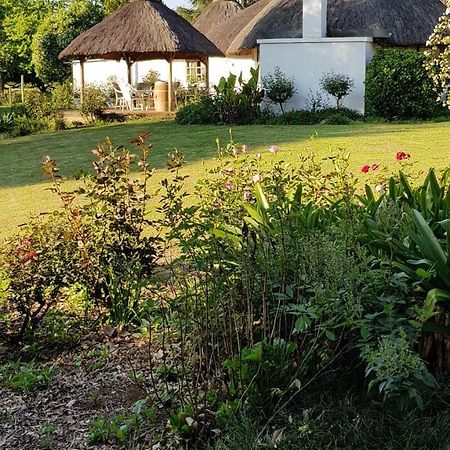 Piccadilly Farm Cottages Lions River 外观 照片