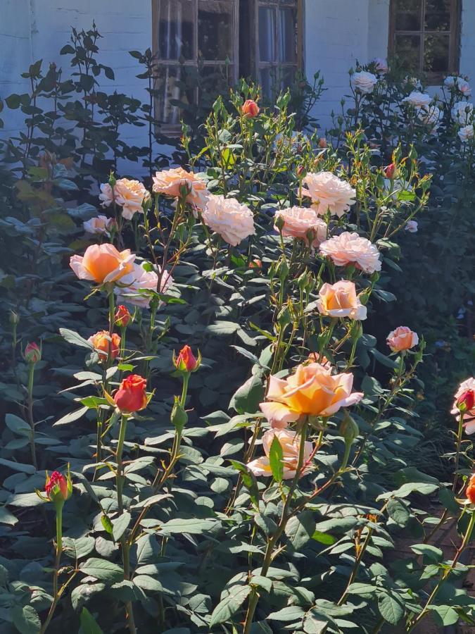 Piccadilly Farm Cottages Lions River 外观 照片