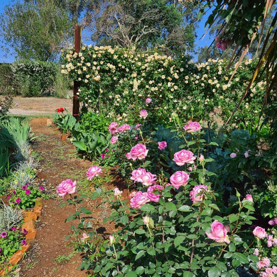 Piccadilly Farm Cottages Lions River 外观 照片