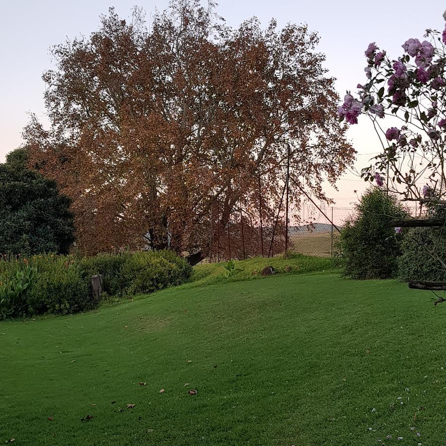 Piccadilly Farm Cottages Lions River 外观 照片