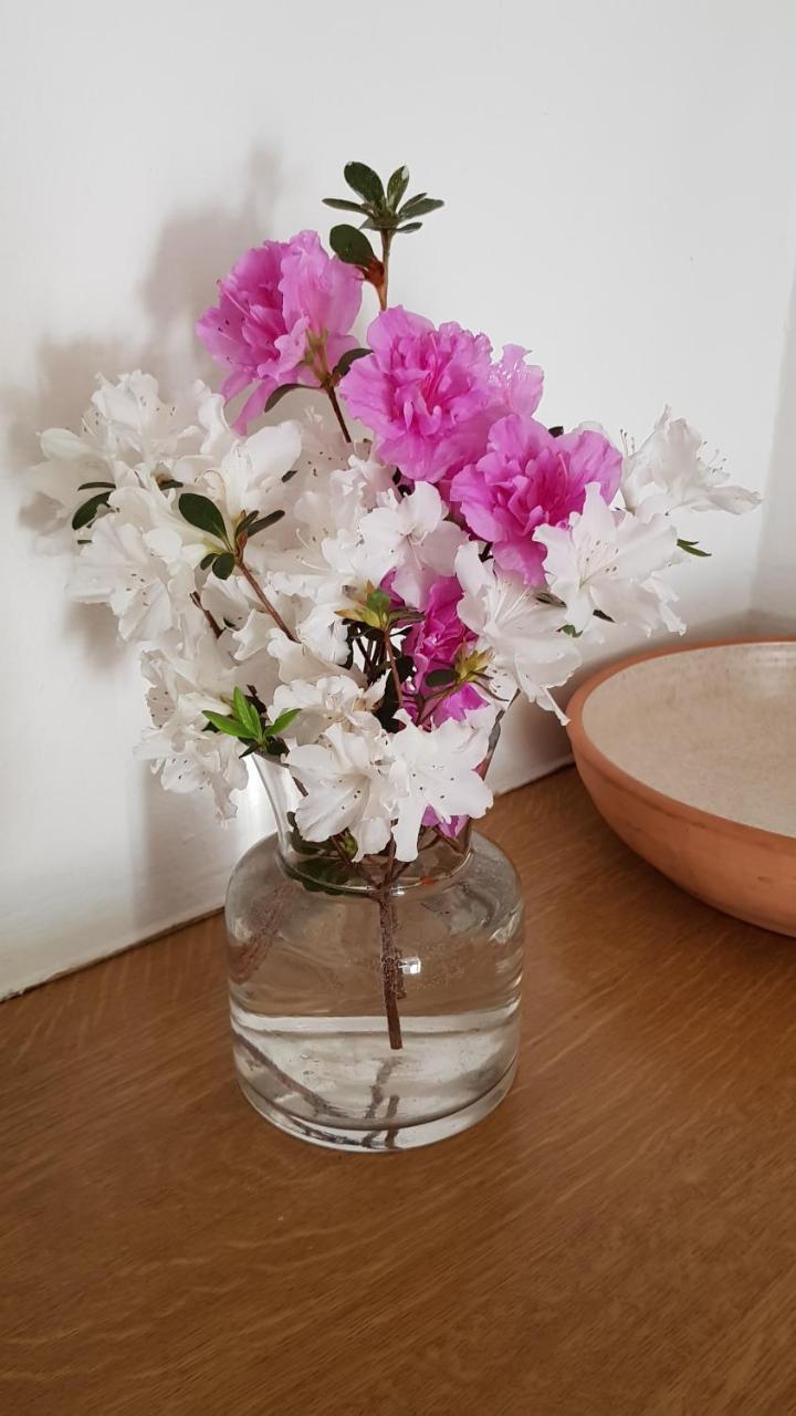 Piccadilly Farm Cottages Lions River 外观 照片