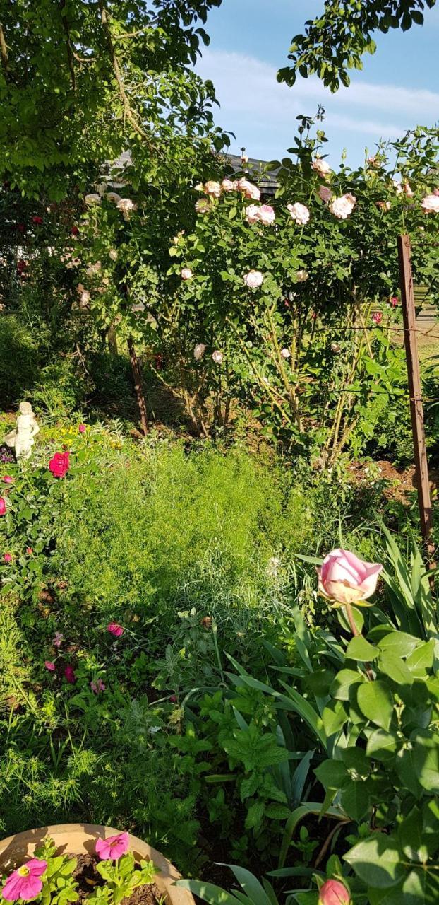 Piccadilly Farm Cottages Lions River 外观 照片