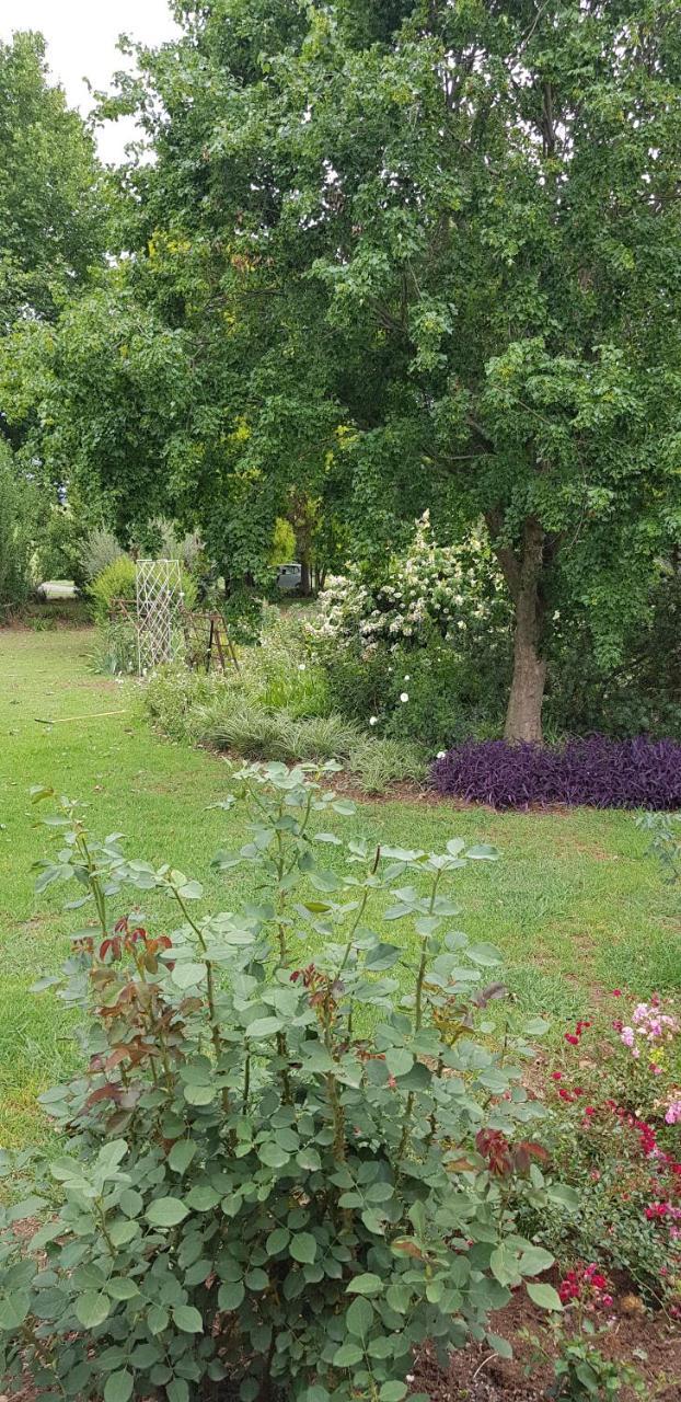 Piccadilly Farm Cottages Lions River 外观 照片