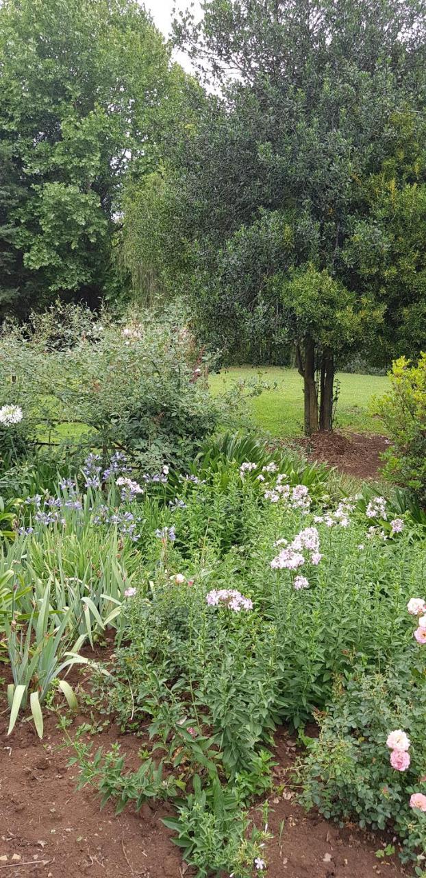 Piccadilly Farm Cottages Lions River 外观 照片