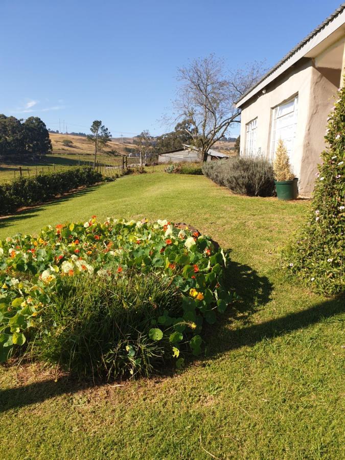 Piccadilly Farm Cottages Lions River 外观 照片
